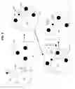Fig. 10 - Artificial cells