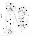 Fig. 11 - Artificial cells