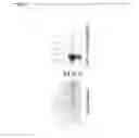 Fig. 06 - Post release modification of viral envelopes