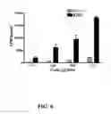 Fig. 07 - Multivalent constructs for therapeutic and diagnostic applications
