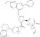 Fig. 72 - Macrocyclic peptides as inhibitors of viral replication