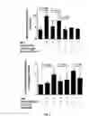 Fig. 08 - METHODS AND COMPOSITIONS FOR TREATING ATHEROSCLEROSIS AND RELATED CONDIDTIONS