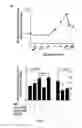 Fig. 09 - METHODS AND COMPOSITIONS FOR TREATING ATHEROSCLEROSIS AND RELATED CONDIDTIONS