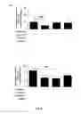 Fig. 22 - METHODS AND COMPOSITIONS FOR TREATING ATHEROSCLEROSIS AND RELATED CONDIDTIONS