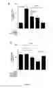 Fig. 31 - METHODS AND COMPOSITIONS FOR TREATING ATHEROSCLEROSIS AND RELATED CONDIDTIONS