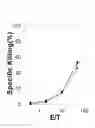 Fig. 09 - Identification of antigenic peptides from multiple myeloma cells