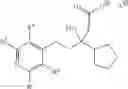 Fig. 33 - Methods for the Preparation of HCV Polymerase Inhibitors