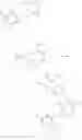 Fig. 49 - Methods for the Preparation of HCV Polymerase Inhibitors