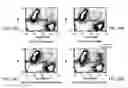 Fig. 23 - T CELL RECEPTOR FUSIONS AND CONJUGATES AND METHODS OF USE THERE OF