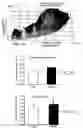 Fig. 04 - METHODS OF APPLYING PHYSICAL STIMULI TO CELLS