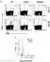 Fig. 09 - METHODS FOR MODULATING IMMUNE RESPONSES TO AAV GENE THERAPY VECTORS