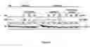 Fig. 02 - METHOD OF SLOWING THE AGING PROCESS BY ACTIVATING SIRTUIN ENZYMES