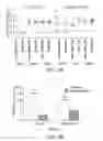 Fig. 09 - Multivalent Immunogenic Compositions Against Noroviruses and Methods of Use