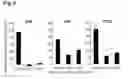 Fig. 07 - Viral vectors and their use in therapeutic methods