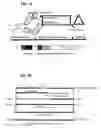 Fig. 02 - Rabies virus vector systems and compositions and methods thereof