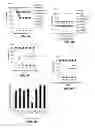 Fig. 09 - Rabies virus vector systems and compositions and methods thereof