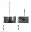 Fig. 02 - PACKAGED VIRUS-LIKE PARTICLES FOR USE AS ADJUVANTS:  METHOD OF PREPARATION AND USE