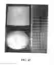 Fig. 27 - Cancellous constructs, cartilage particles and combinations of cancellous constructs and cartilage particles