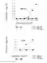 Fig. 06 - VACCINE COMPOSITION CONTAINING SYNTHETIC ADJUVANT