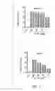Fig. 09 - VACCINE COMPOSITION CONTAINING SYNTHETIC ADJUVANT