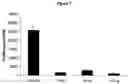 Fig. 08 - METHODS OF INDUCING CELL DIFFERENTIATION WITH PLACENTAL EXTRACTS