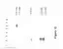 Fig. 19 - Wheat with altered branching enzyme activity and starch and starch containing products derived therefrom
