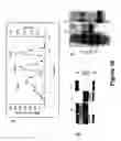 Fig. 23 - Wheat with altered branching enzyme activity and starch and starch containing products derived therefrom