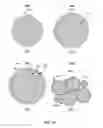 Fig. 10 - HIGH PERFORMANCE ELECTRODES