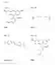Fig. 05 - Method for Detecting Target Nucleic Acids Using Template Catalyzed Transfer Reactions