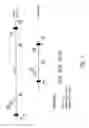 Fig. 03 - Method for detecting an individual who is afflicted with or a carrier for Van Buchem's disease