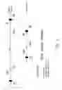 Fig. 04 - Method for detecting an individual who is afflicted with or a carrier for Van Buchem's disease