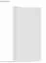 Fig. 40 - REPLICATION PROTEIN