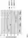 Fig. 06 - Detection of antibody that binds to water soluble polymer-modified polypeptides