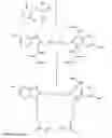 Fig. 08 - Dye conjugates of nucleotides and other biological substances