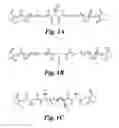 Fig. 02 - AGENTS AND METHODS FOR ANALYZING PROTEIN INTERACTIONS