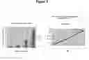 Fig. 04 - Method for Screening of Active Tuberculosis