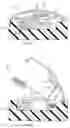 Fig. 01 - ANALYTICAL TOOL, ANALYTICAL TOOL PACK, CARTRIDGE INCLUDING PLURALITY OF PACKS, METHOD OF MAKING ANALYTICAL TOOL PACK, ANALYZER, AND MECHANISM FOR TAKING OUT OBJECT