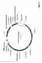 Fig. 03 - Optimized high yield synthetic plasmids