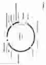 Fig. 04 - Optimized high yield synthetic plasmids