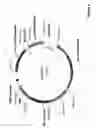 Fig. 06 - Optimized high yield synthetic plasmids