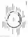 Fig. 07 - Optimized high yield synthetic plasmids