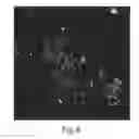 Fig. 09 - Enriched pancreatic stem cell and progenitor cell populations, and methods for identifying, isolating and enriching for such populations