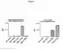 Fig. 09 - Utilization of Pharmacological Chaperones to Improve Manufacturing and Purification of Biologics