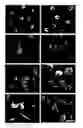 Fig. 01 - Monocyte-Derived Stem Cells (MDSC) and Methods of Use Thereof