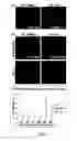 Fig. 04 - Compositions and methods for promoting the generation of PDX1+ pancreatic cells