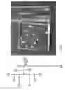 Fig. 09 - Integrated Microfluidic Device for Serum Biomarker Quantitation using Either Standard Addition or a Calibration Curve