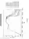Fig. 10 - Thermal management and method for large scale processing of CIS and /or CIGS based thin films overlying glass substrates