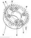 Fig. 07 - Combination anode and line cutter