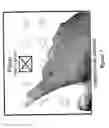 Fig. 08 - Lottery game with interactive game indicia selection