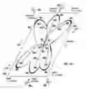 Fig. 10 - Principle-based device and method for using an asymmetrical target zone to improve golf-putting skill